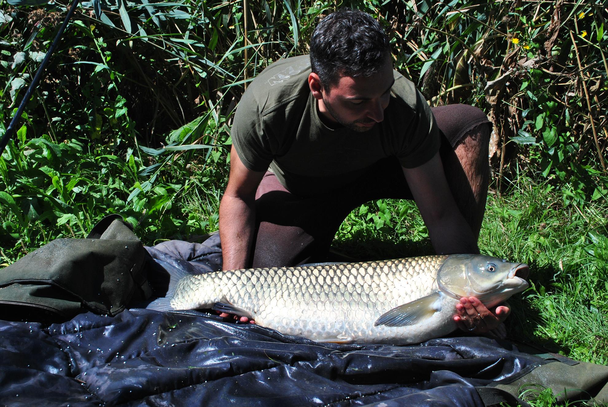 Capturi - 212311.JPG